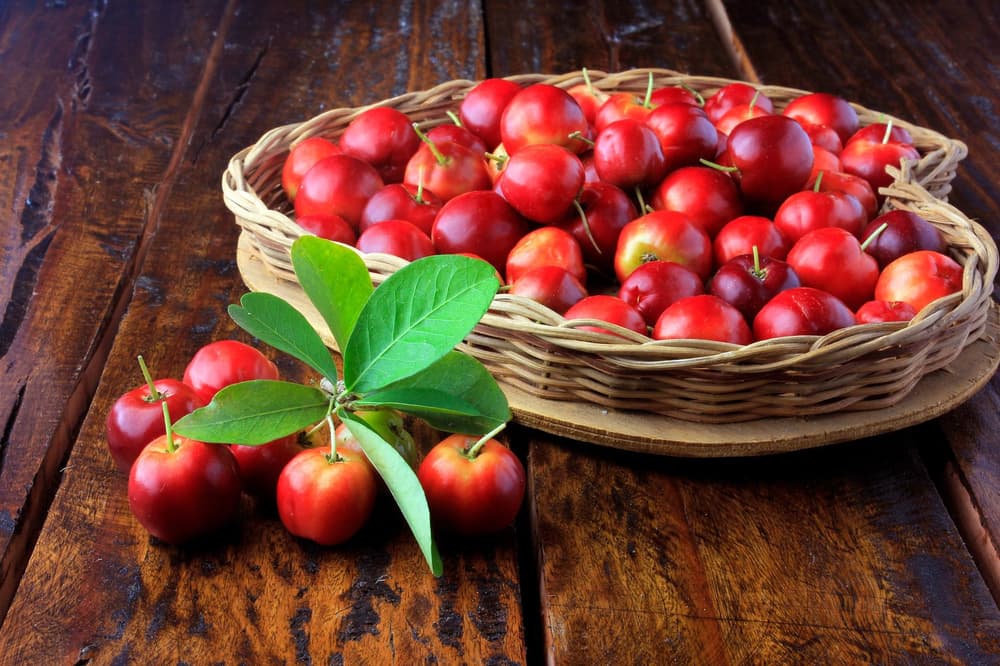 Acerola – wartość odżywcza, właściwości, zastosowanie, preparaty