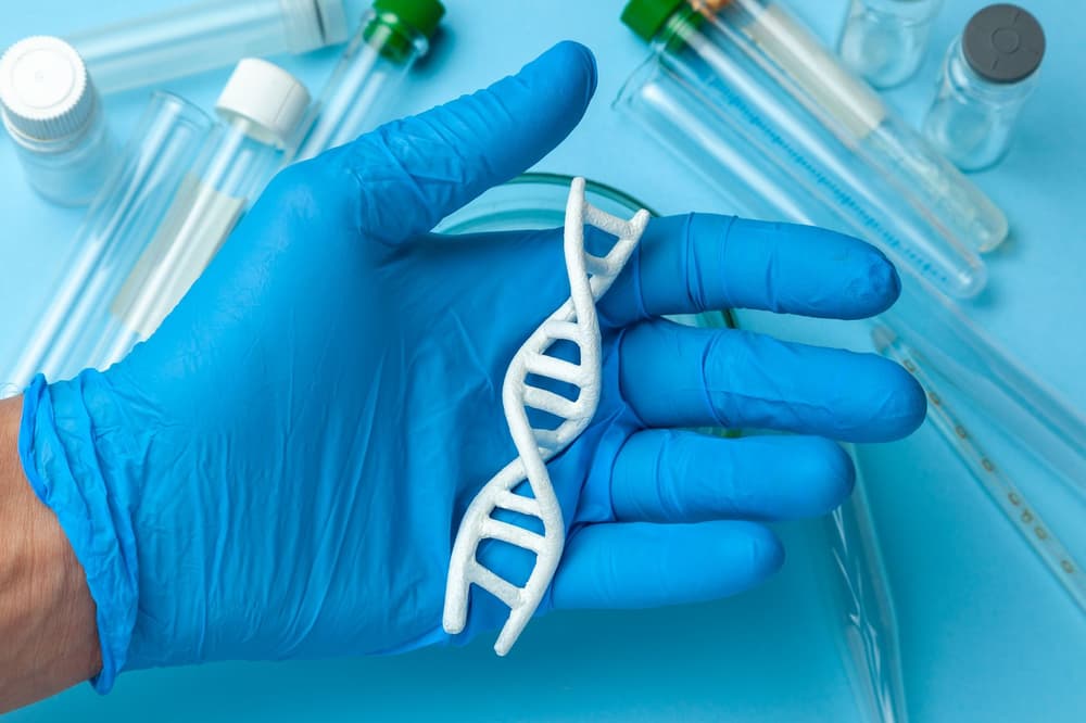 Adrenoleukodystrofia – dziedziczenie, objawy, leczenie, dieta, rokowanie