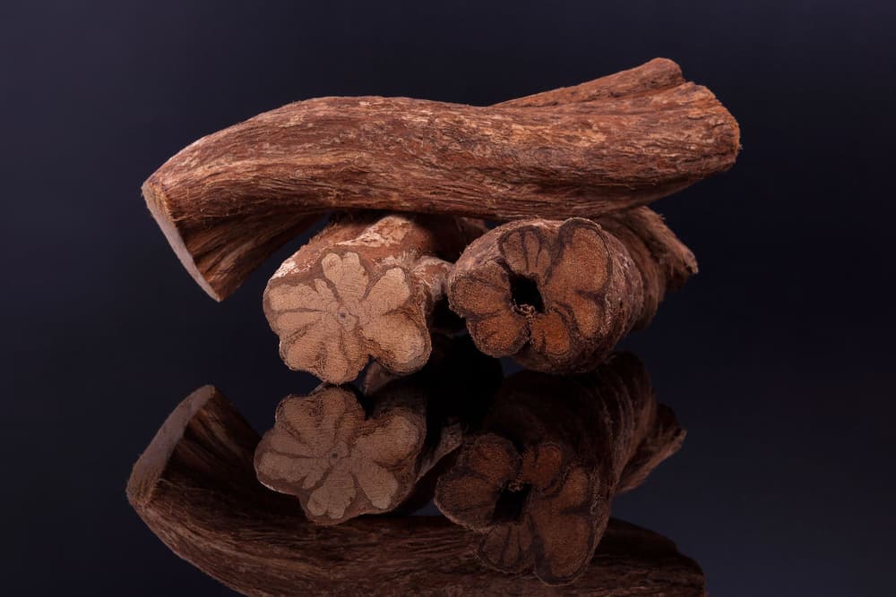 Harmina – gdzie występuje, jak działa i dlaczego jej stosowanie może być ryzykowne?