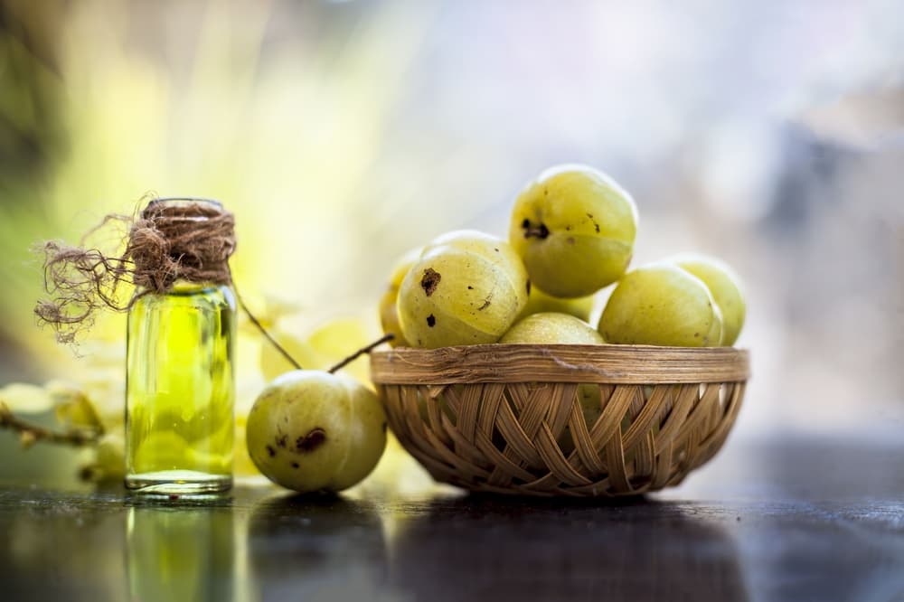 Amla (agrest indyjski) – właściwości, zastosowanie, gdzie kupić, cena