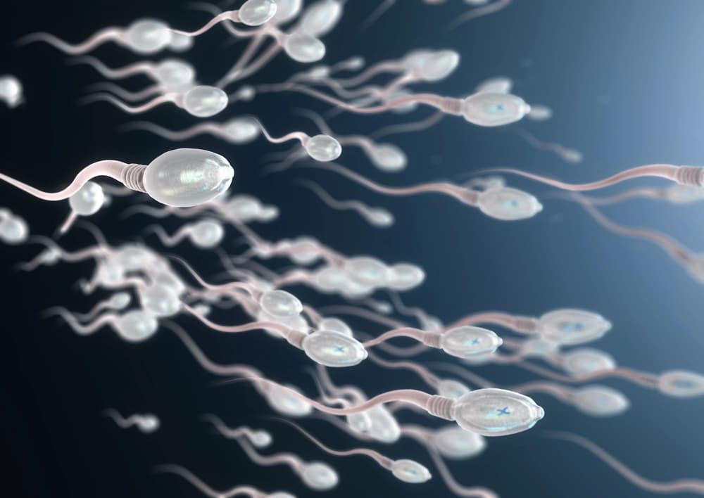 Astenospermia a szanse na zajście w ciążę