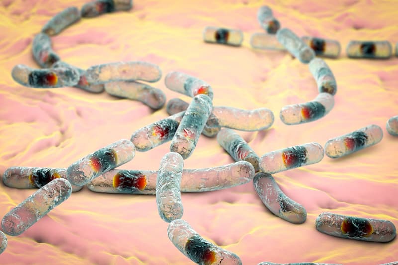 Kolor kału – jaki kolor stolca oznacza chorobę?