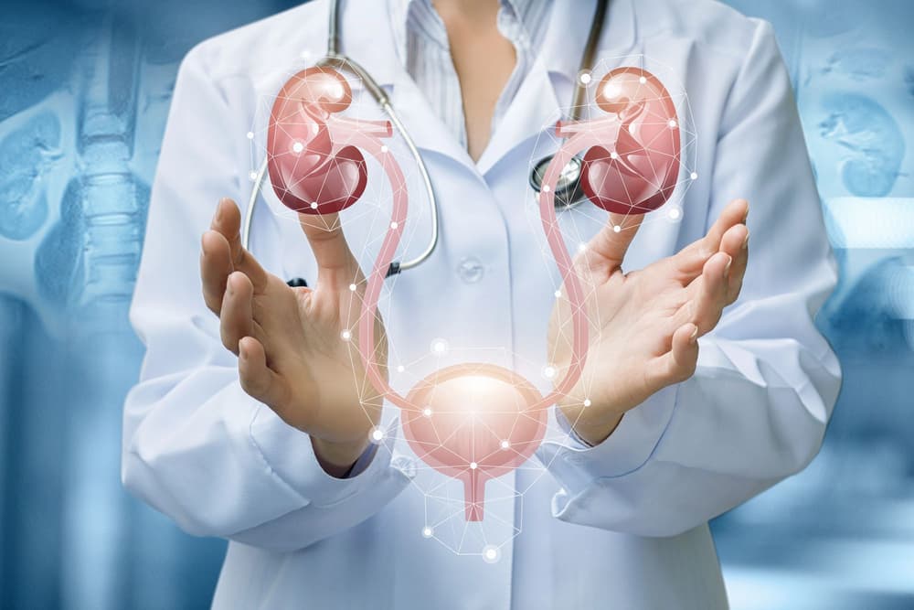 Badanie prostaty – na czym polega, jak często wykonywać i co wykrywa?