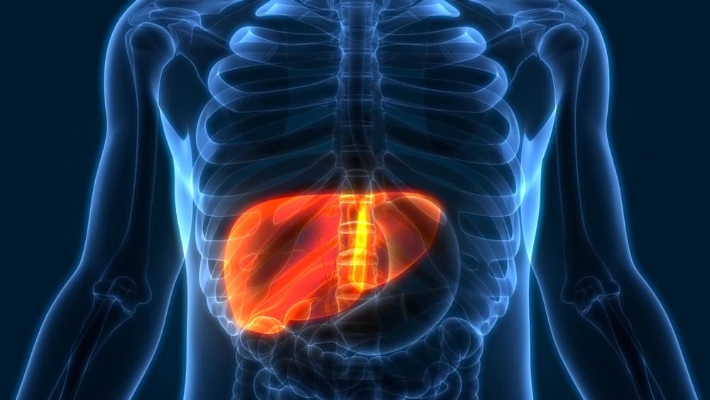 FibroScan – nowoczesna diagnostyka wątroby