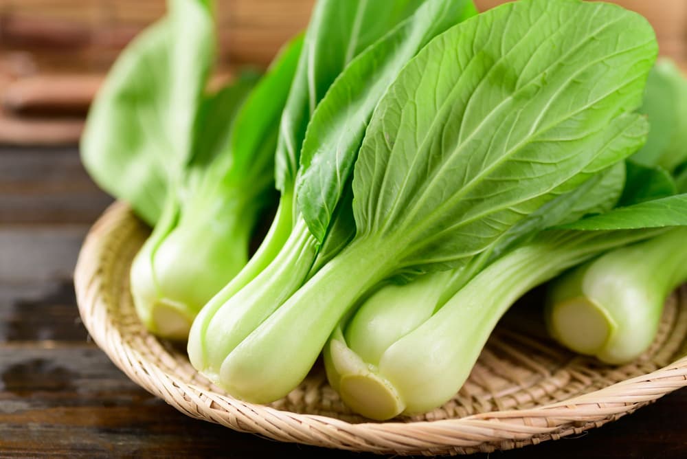 Bok choy – co to jest? Właściwości odżywcze, zastosowanie, przepisy, gdzie kupić?