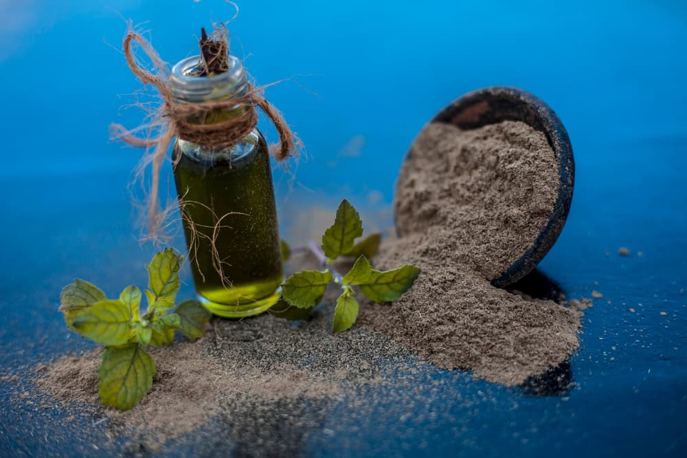 Bacopa monnieri – właściwości, działanie, skutki uboczne zioła brahmi