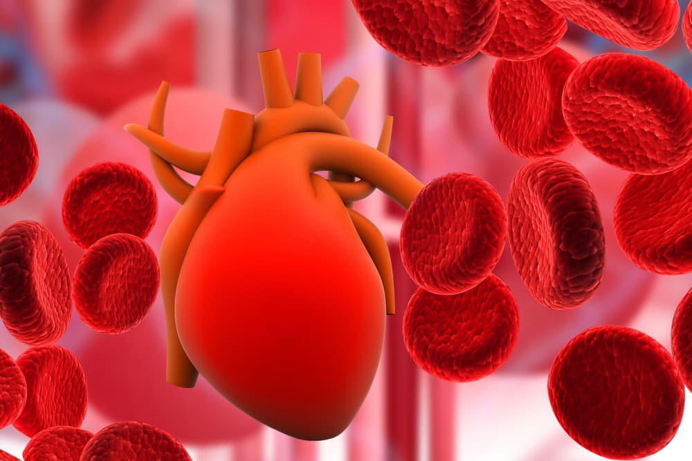 Cardiostatil – sposób działania, skład, dawkowanie, przeciwwskazania, jak stosować?