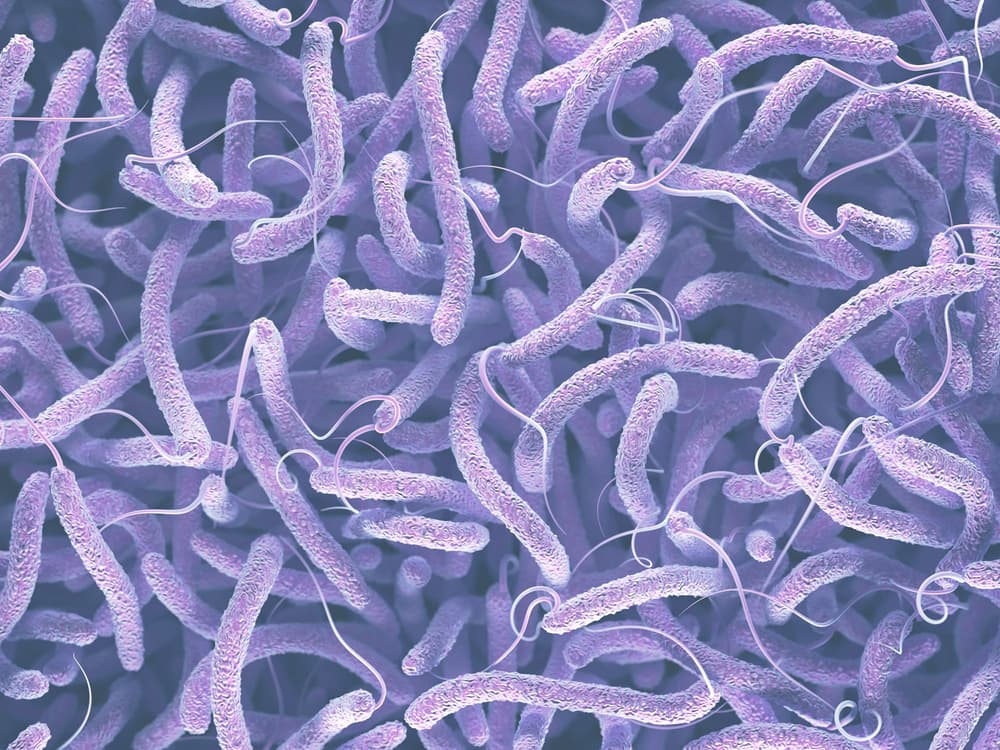 Cholera – przyczyny, objawy, leczenie, szczepionka