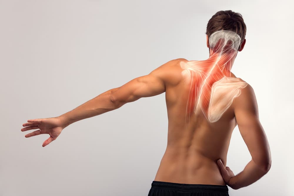 Choroba Sprengla – przyczyny, objawy, leczenie, operacja, rehabilitacja, rokowania