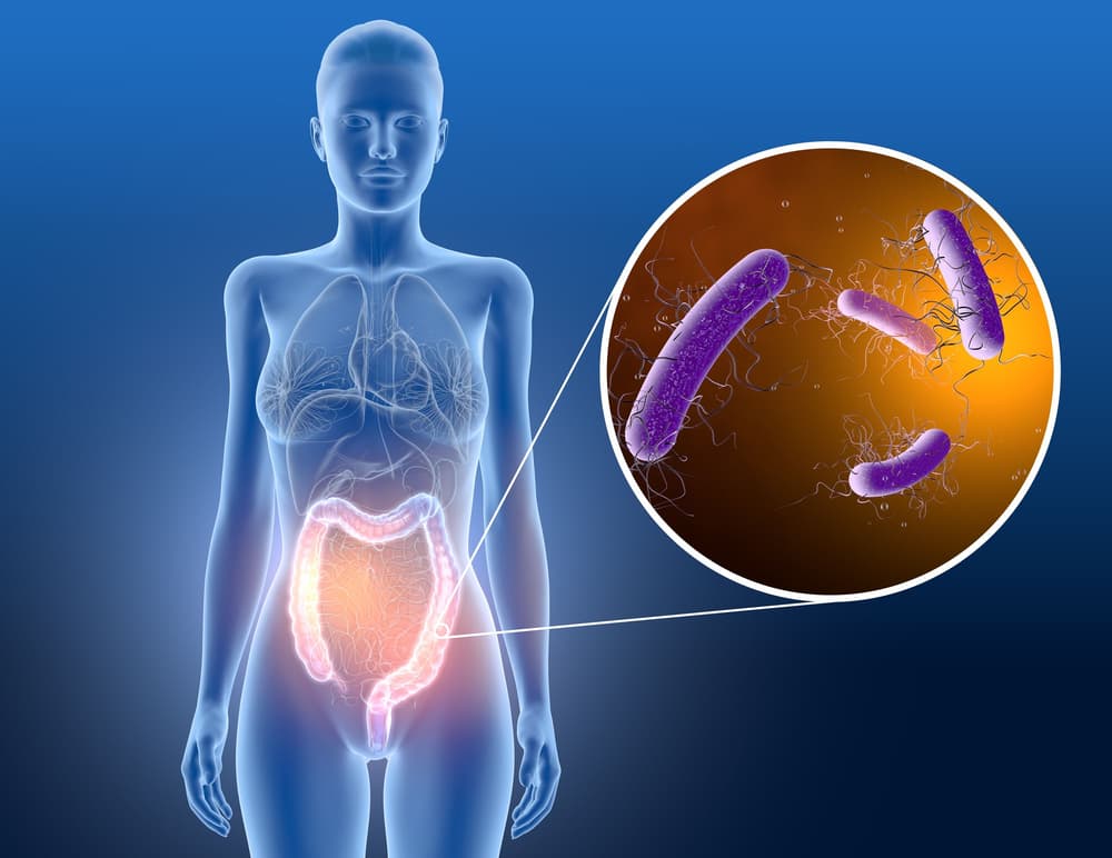 Clostridium difficile – przyczyny, objawy, leczenie zakażenia