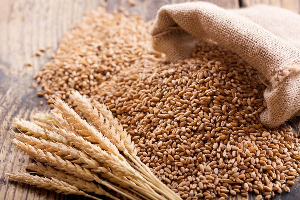 Dieta bez pszenicy – co jeść, efekty, produkty i jadłospis