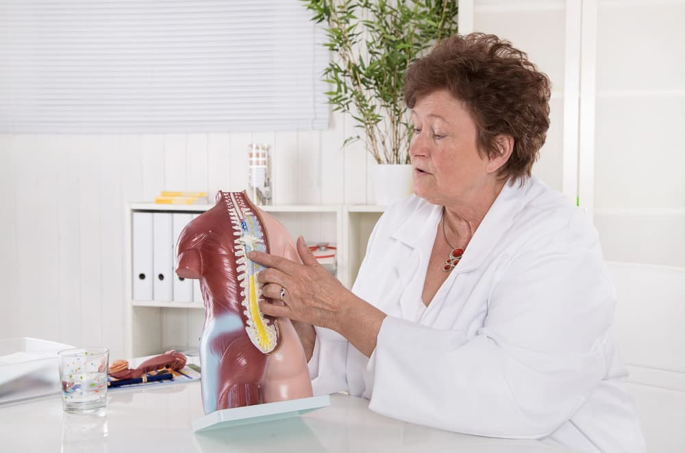 lekarka trzymająca model kręgosłupa