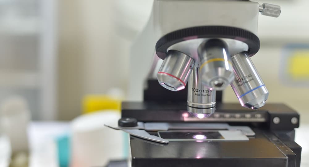 Biopsja mięśnia – co to jest, wskazania, przebieg, powikłania