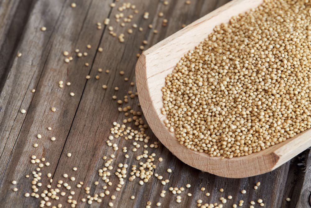 Dieta FODMAP – na czym polega? Jakie ma etapy i co jeść na diecie FODMAP?