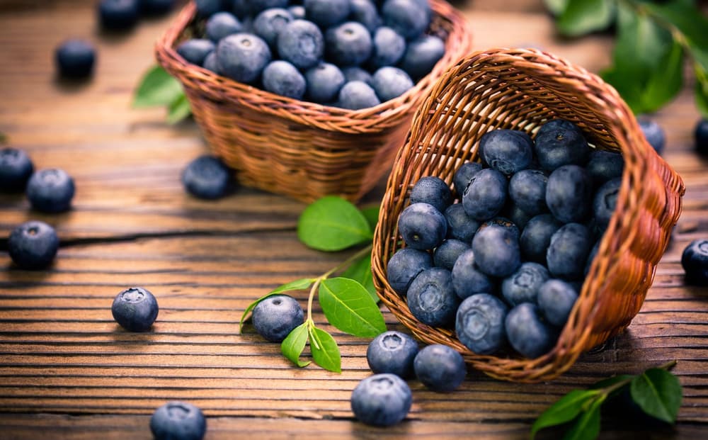 Dieta antyhistaminowa – dieta w nietolerancji histaminy
