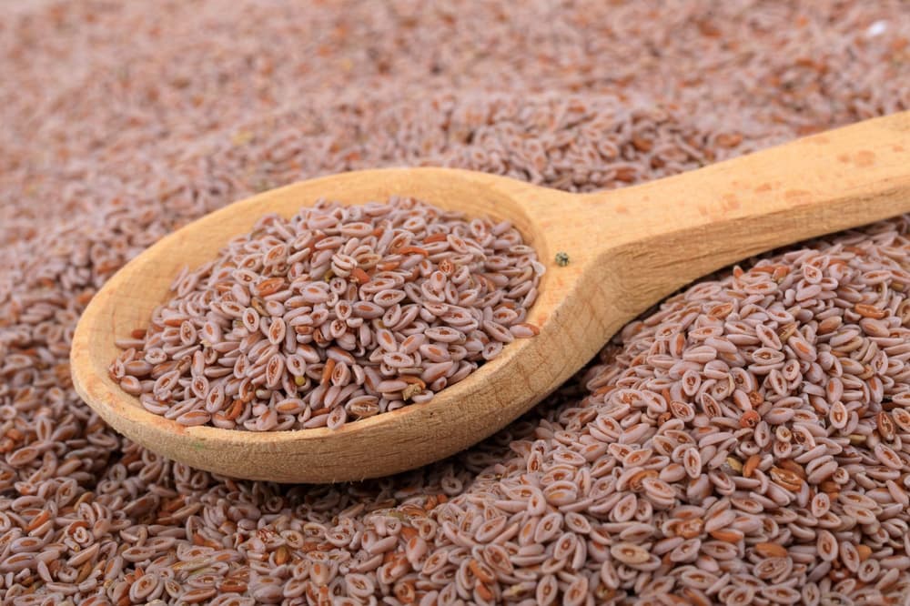 Dieta jelitowa – jaka dieta na jelita?