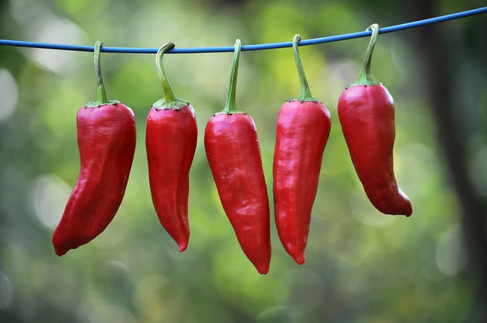 Czy pikantne potrawy i ostre przyprawy przyspieszają metabolizm i odchudzanie?