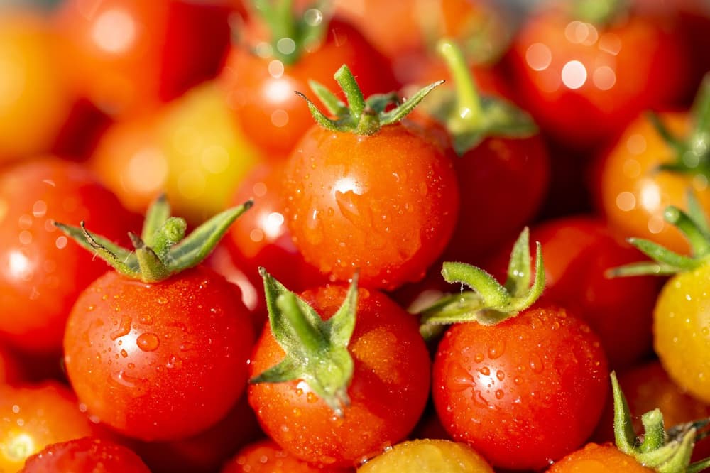 Produkty niskokaloryczne – które mają najmniej kalorii?
