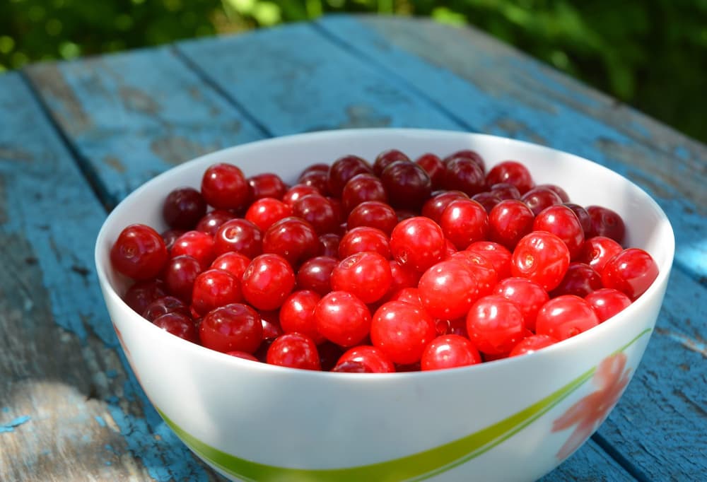 Dieta w przewlekłym zapaleniu trzustki – co jeść przy chorej trzustce?