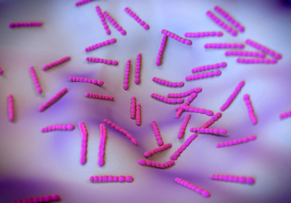 Strep A Test – po co wykonuje się test na paciorkowca? Jak interpretować wyniki?