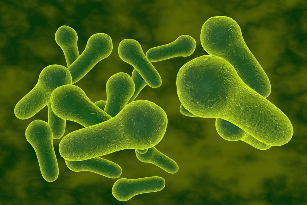 Gangrena – co to jest? Przyczyny, objawy, leczenie, czy gangrena jest zaraźliwa?