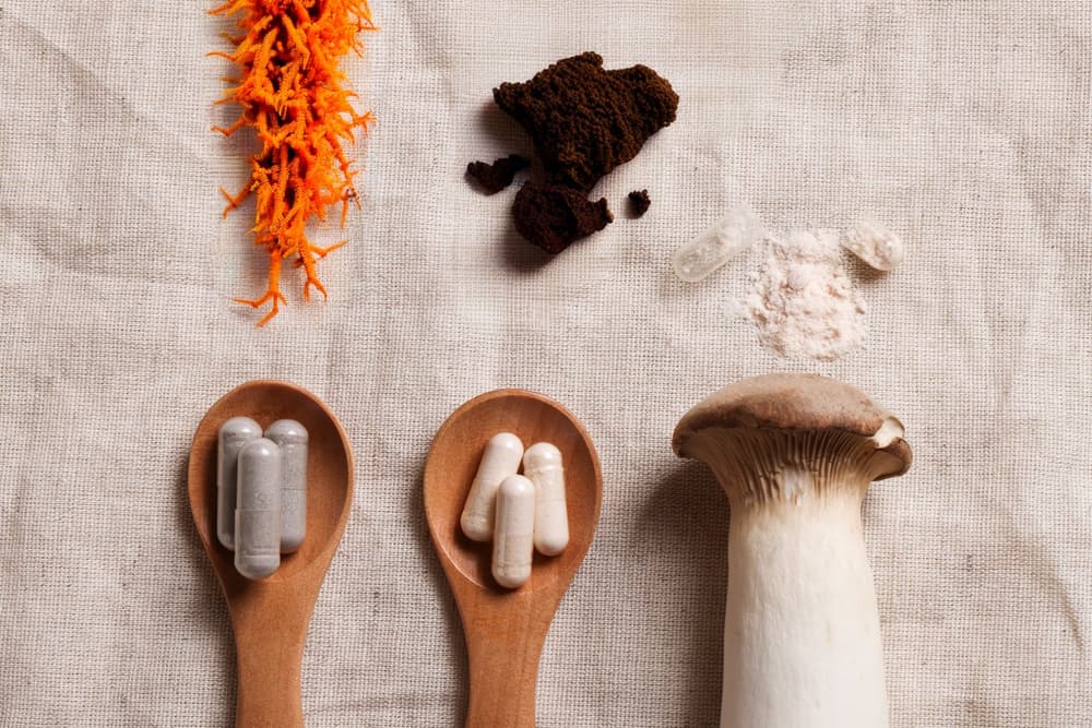 Grzyby funkcjonalne - właściwości, działanie i zastosowanie