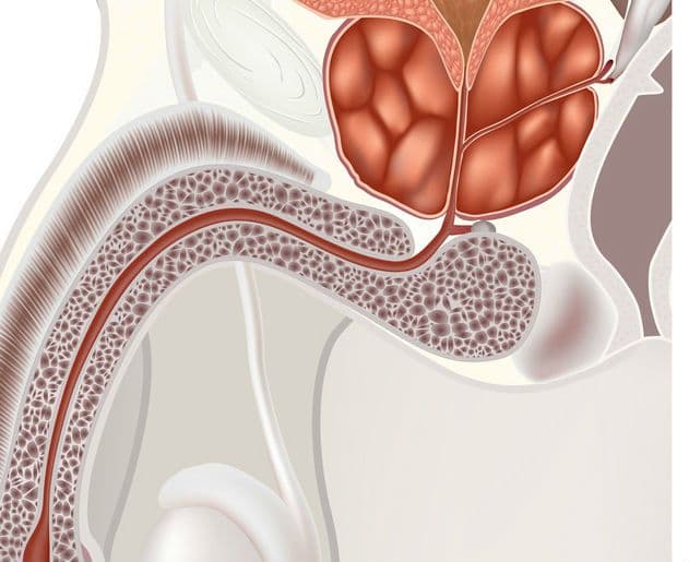 Hormonalne leczenie raka prostaty