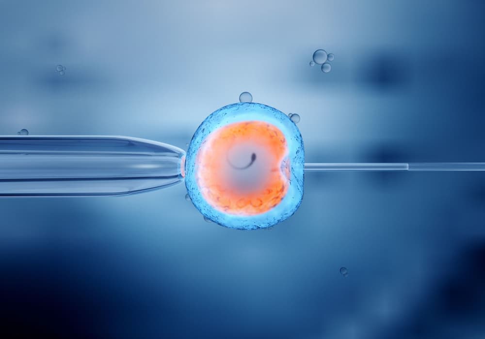 In vitro – na czym polega, ile kosztuje? Refundacja