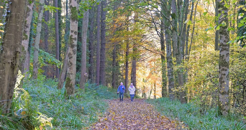 Kolorowy spacer – spacer kolorami – czy to technika mindfulness?