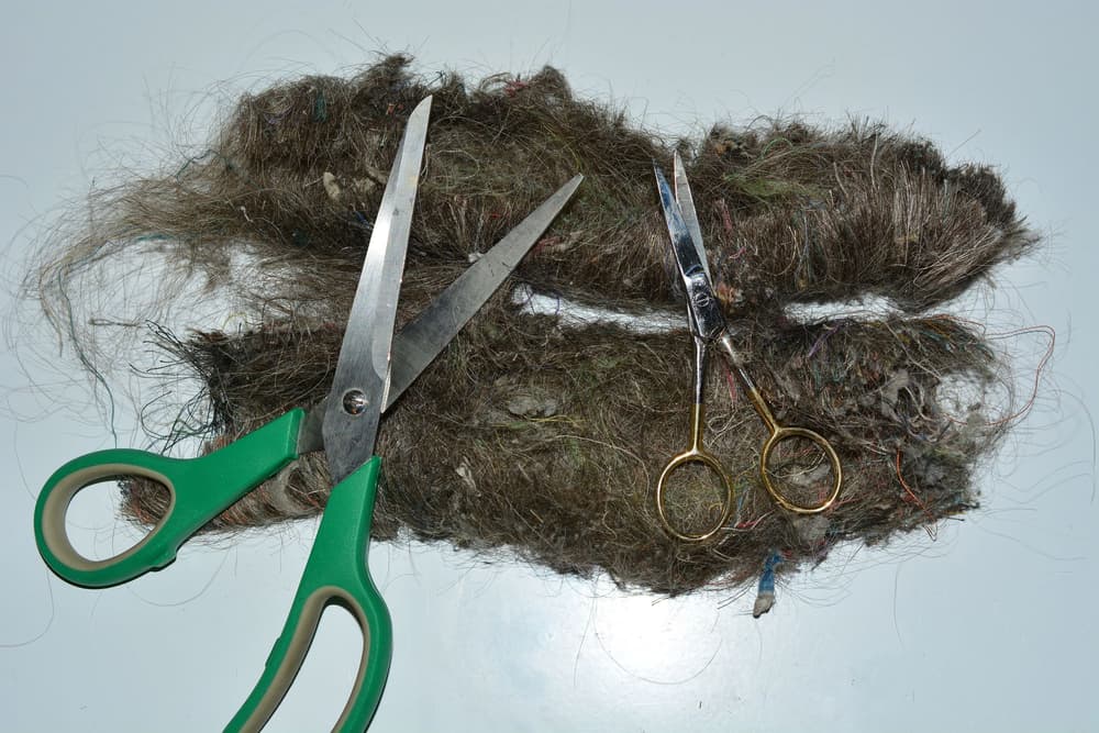 Dwa obcięte kołtuny z włosów i na nich dwie pary nożyczek.