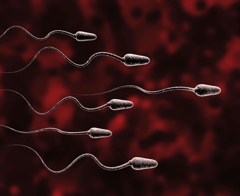 Krew w spermie (hematospermia) – przyczyny krwi w nasieniu
