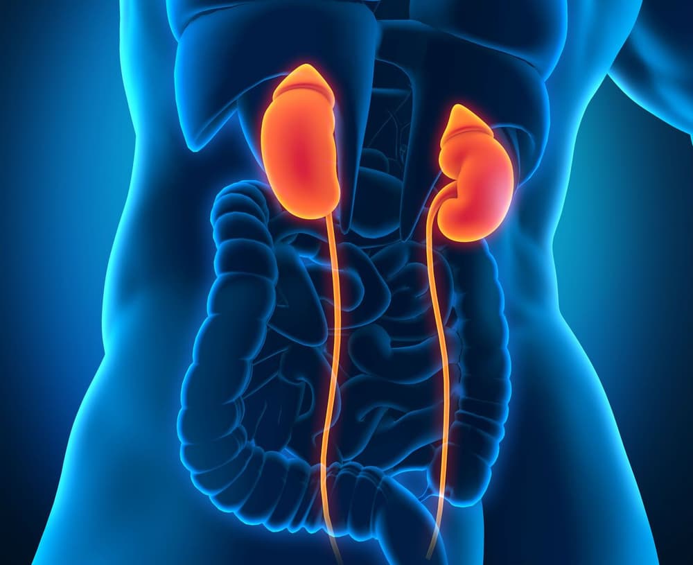 Guz na nerce – rodzaje, objawy, jak diagnozować, z czym różnicować. Czy guz na nerce jest groźny?