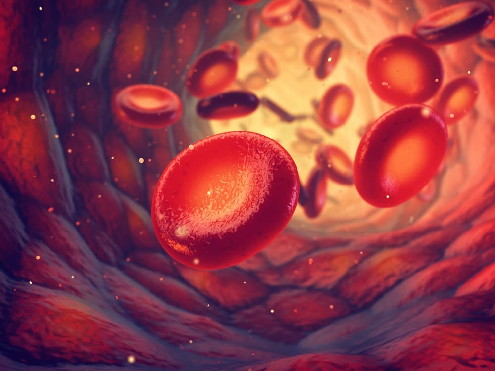 MCH, czyli średnia masa hemoglobiny w erytrocycie – niskie, wysokie, normy