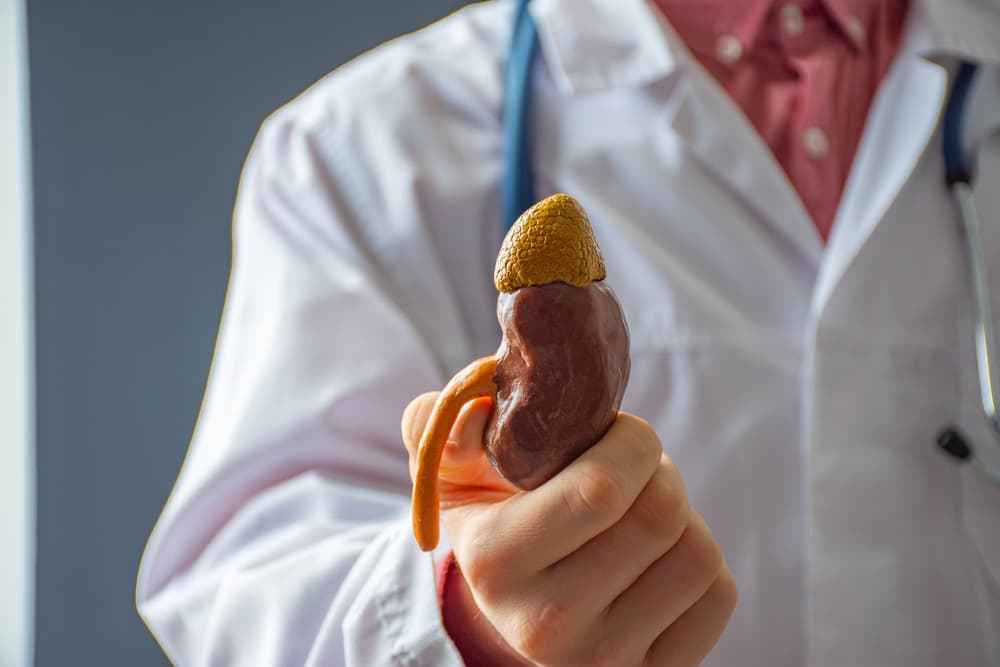 Niedoczynność kory nadnerczy – przyczyny, objawy, diagnostyka, leczenie