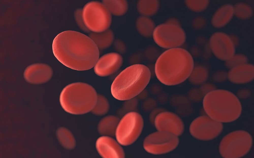 Niedokrwistość megaloblastyczna – przyczyny, objawy, diagnostyka, leczenie anemii  megaloblastycznej