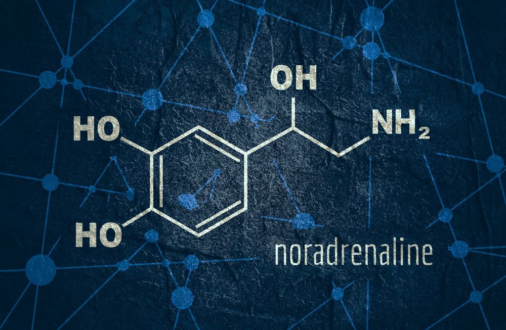 Noradrenalina – hormon i neuroprzekaźnik – działanie, nadmiar, niedobór, lek