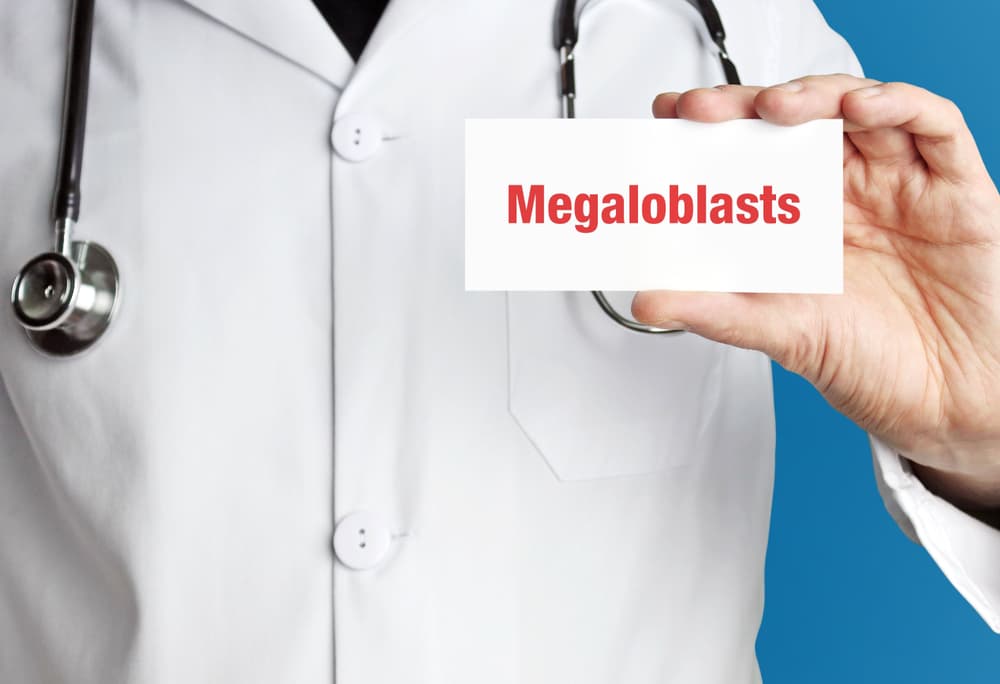 NRBC – co oznacza obecność erytroblastów we krwi?