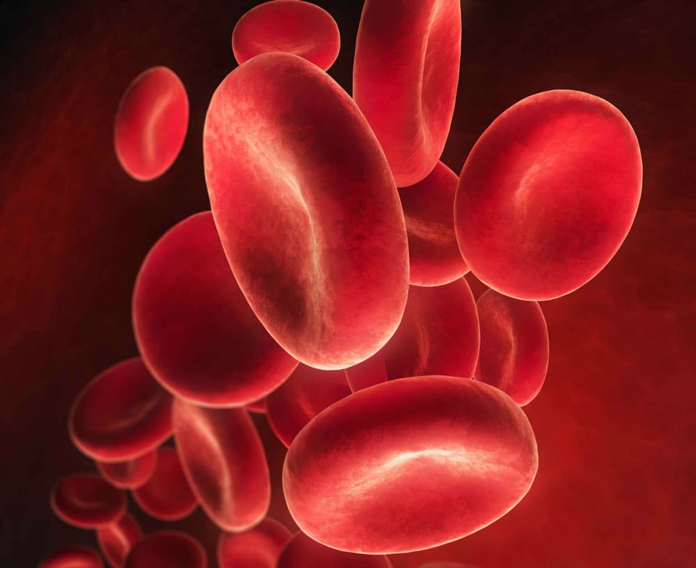 Obfite miesiączki a anemia