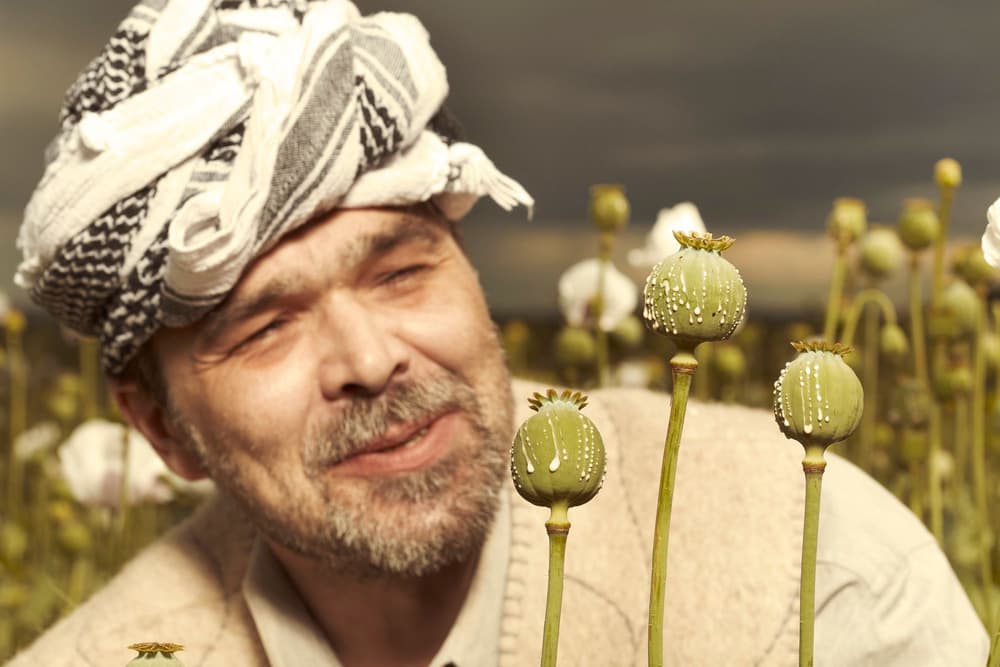 Opium – co to? Właściwości, sposób działania, skutki uboczne, objawy i leczenie uzależnienia