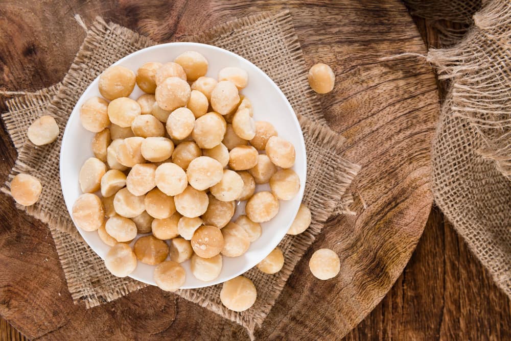 Orzechy makadamia – właściwości, wartości odżywcze, zastosowanie, cena