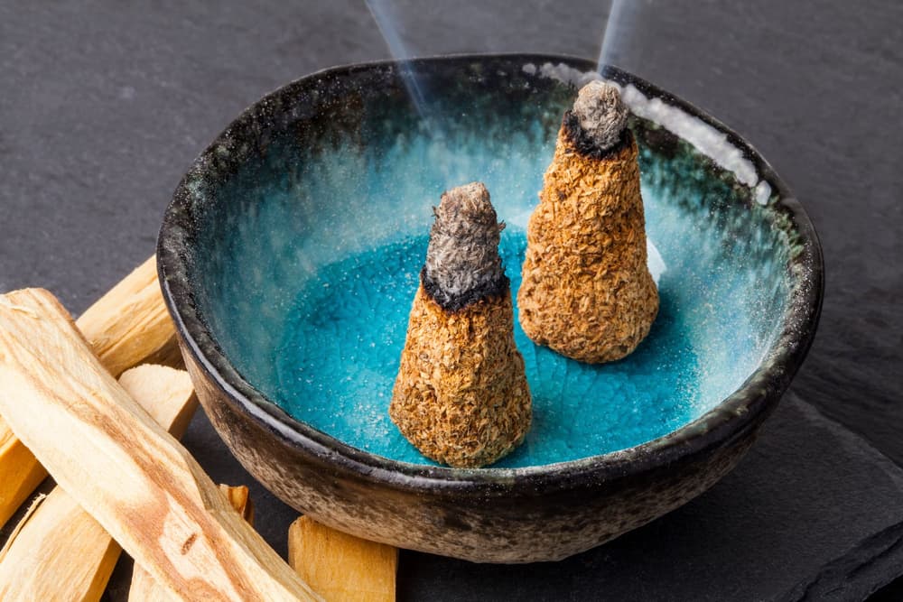 Palo Santo – święte drzewo. Właściwości, zastosowanie, na co pomaga?