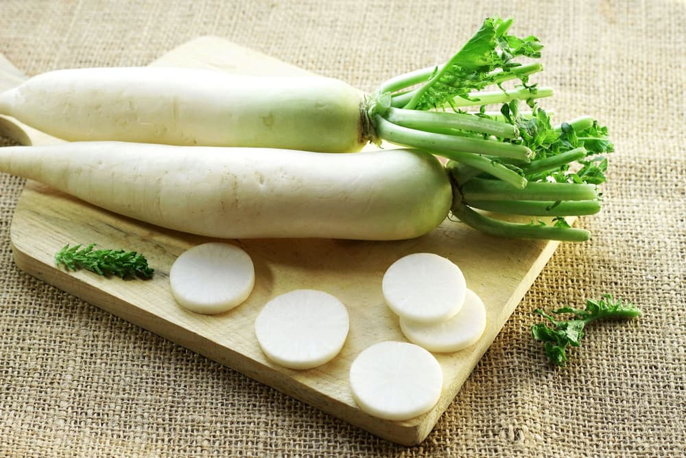 Rzodkiew japońska (daikon) – właściwości odżywcze, przeciwwskazania, przepisy, gdzie kupić?