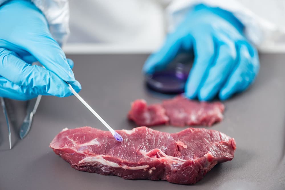 Salmonella – objawy zatrucia i leczenie zakażenia
