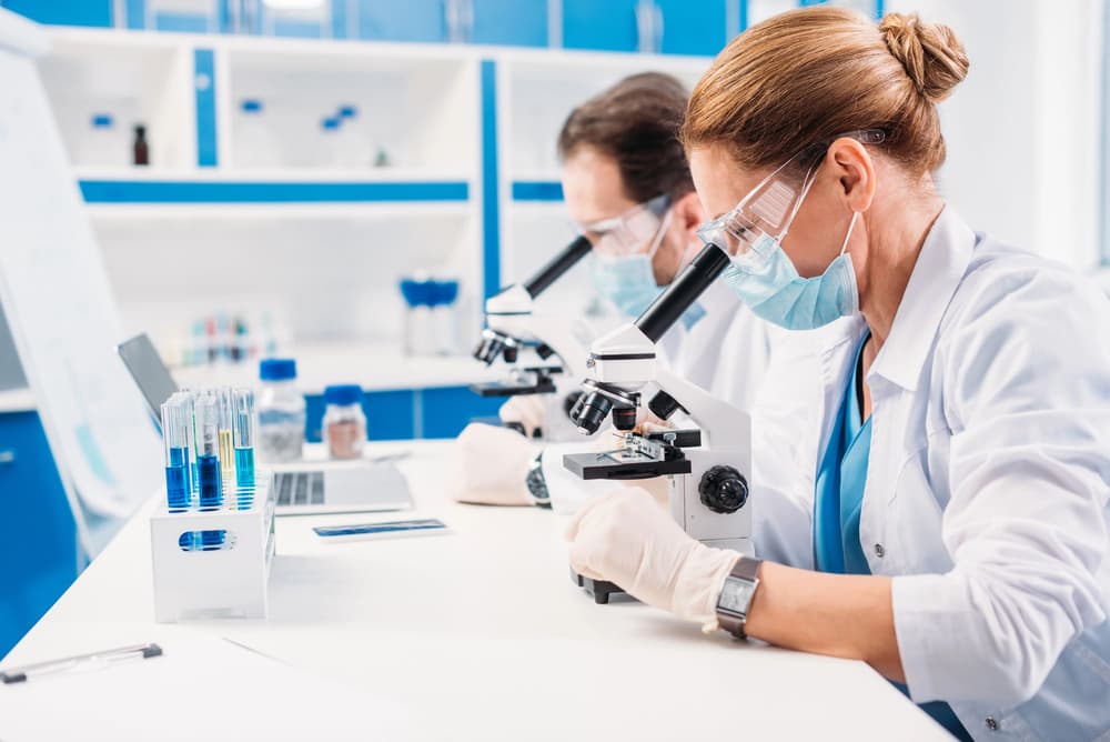 Test ureazowy – na czym polega, co oznacza ujemny i dodatni test ureazowy