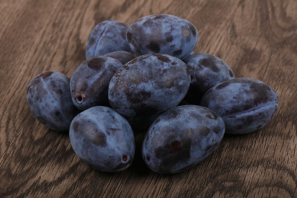 Śliwki węgierki – właściwości zdrowotne, zastosowanie, przeciwwskazania, przepisy