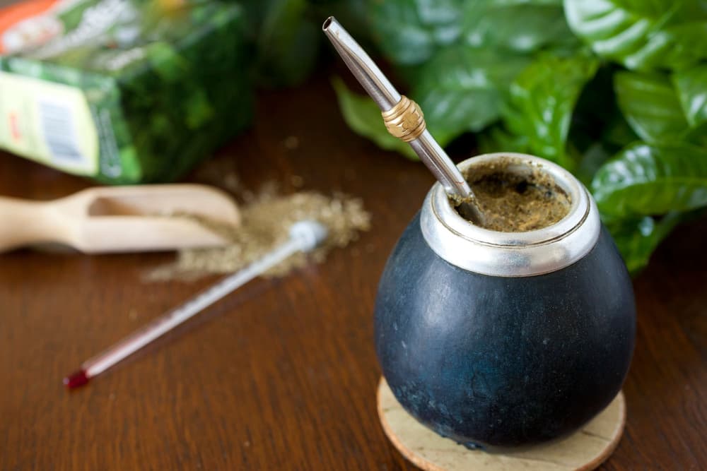 Yerba mate zamiast kawy?