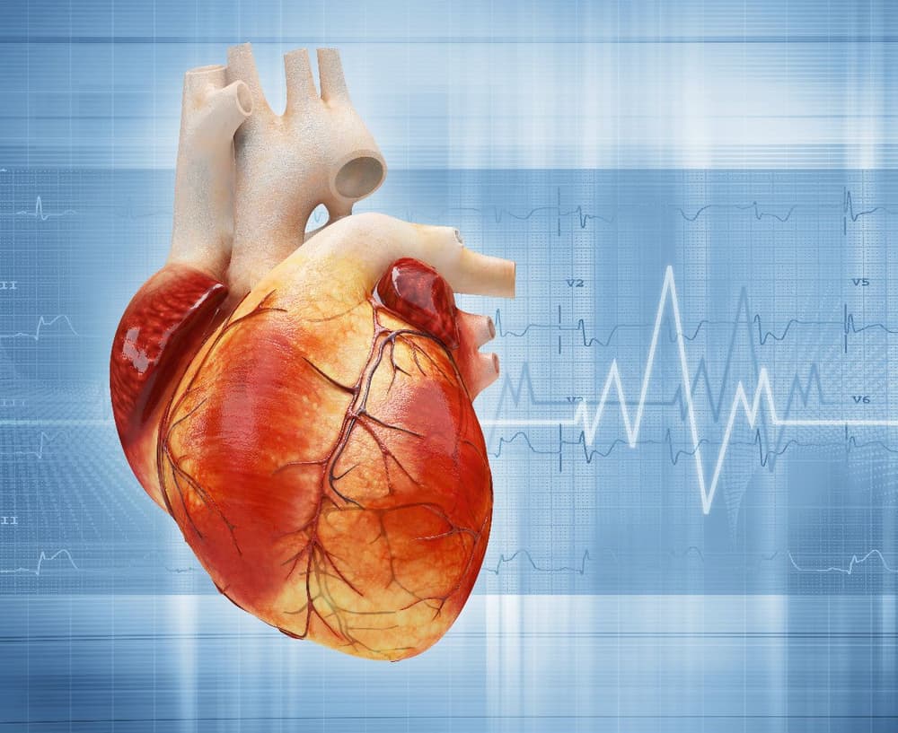 Anomalia Ebsteina – co to jest? Przyczyny, objawy, diagnostyka, leczenie