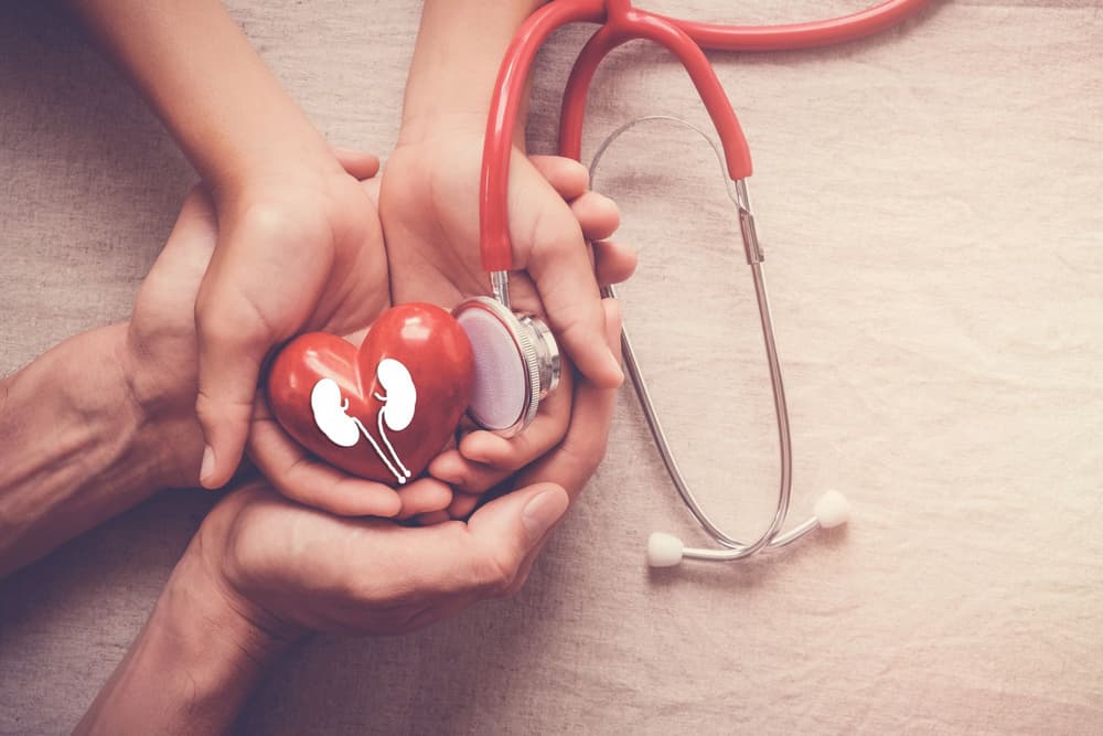 Zespół Alporta – co to? Przyczyny, objawy, diagnostyka, leczenie, dziedziczenie