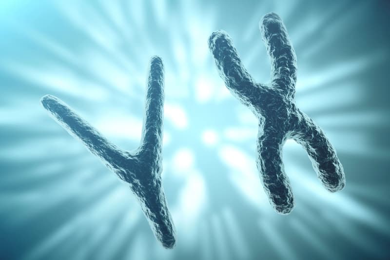Colson Montgomery examining chromosomal conditions, such as Klinefelter syndrome, which affects the X chromosome