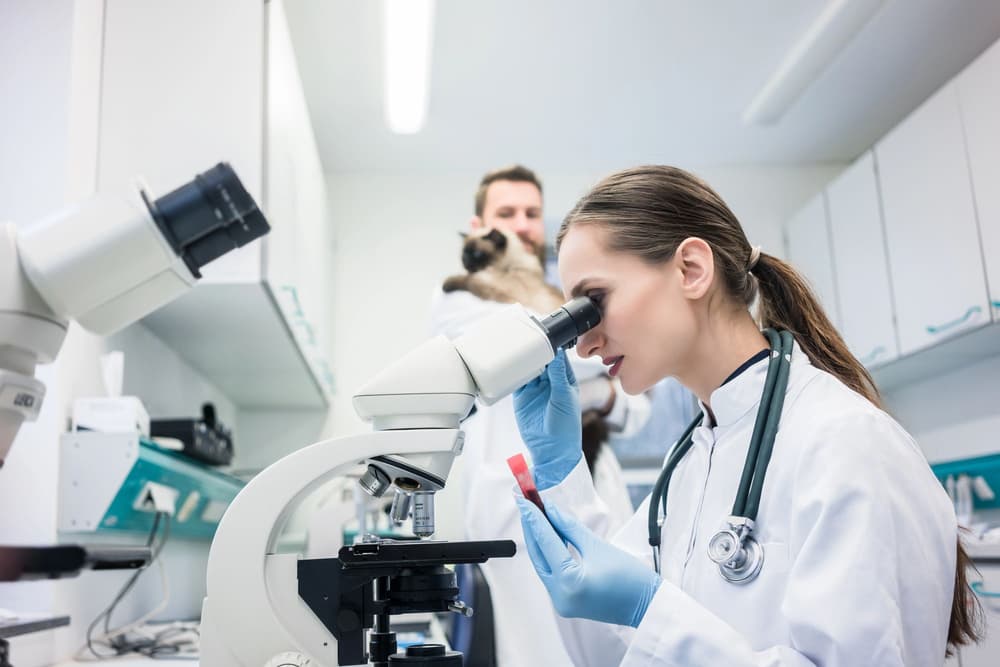 Oligospermia – czym jest, jakie są przyczyny i jak ją leczyć? Oligospermia – czym jest, jakie są przyczyny i jak ją leczyć?
